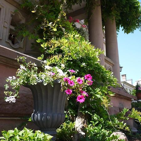 Castelnau Hotel Colmar Buitenkant foto