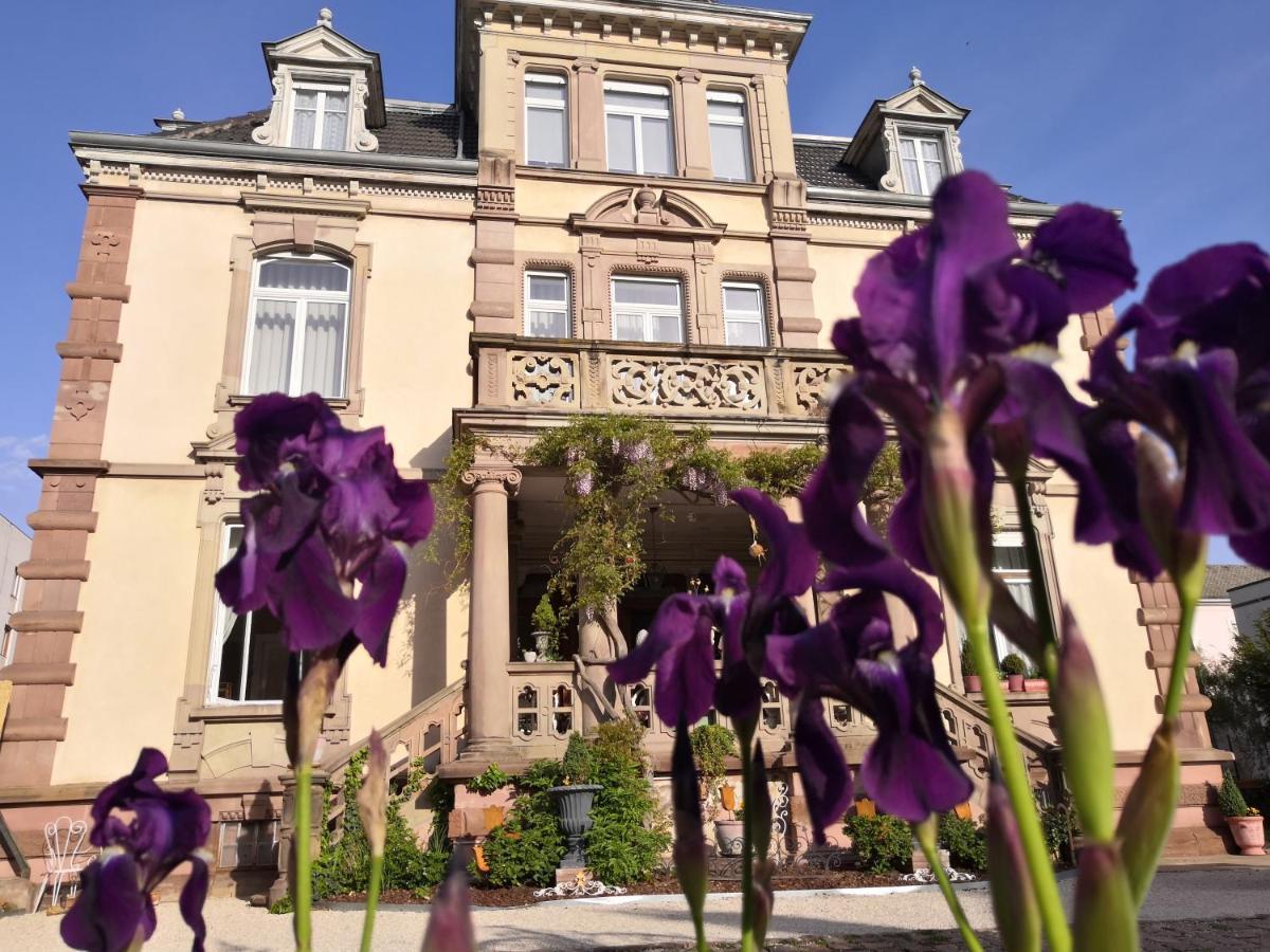 Castelnau Hotel Colmar Buitenkant foto
