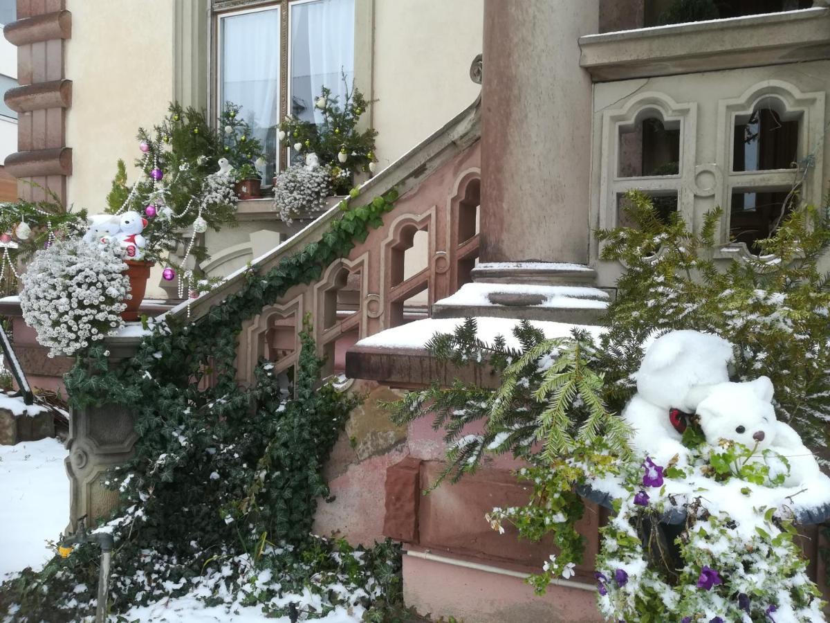 Castelnau Hotel Colmar Buitenkant foto