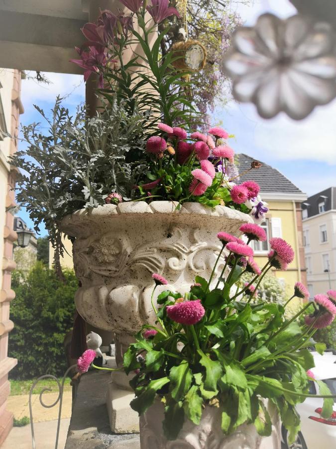 Castelnau Hotel Colmar Buitenkant foto