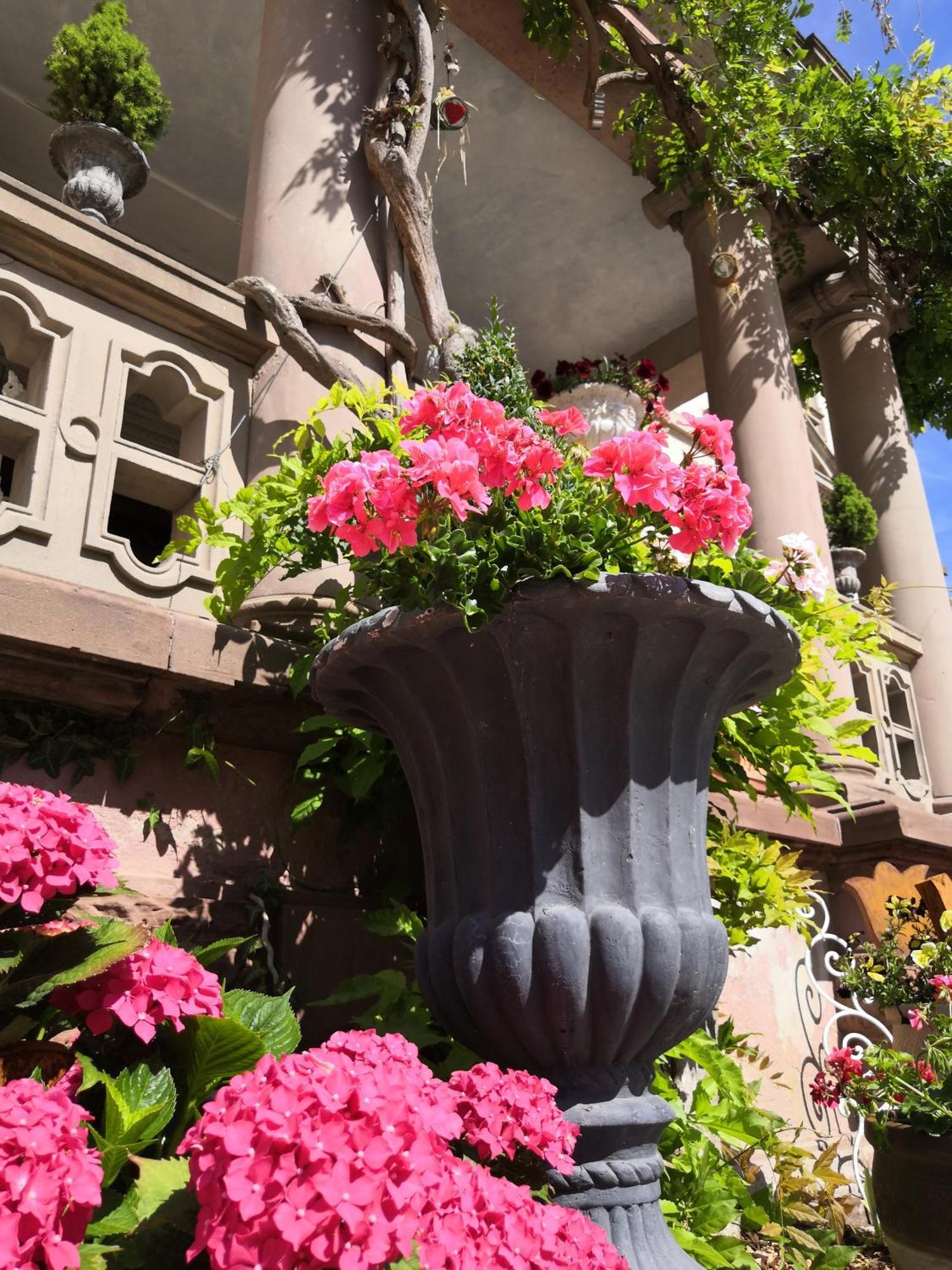 Castelnau Hotel Colmar Kamer foto